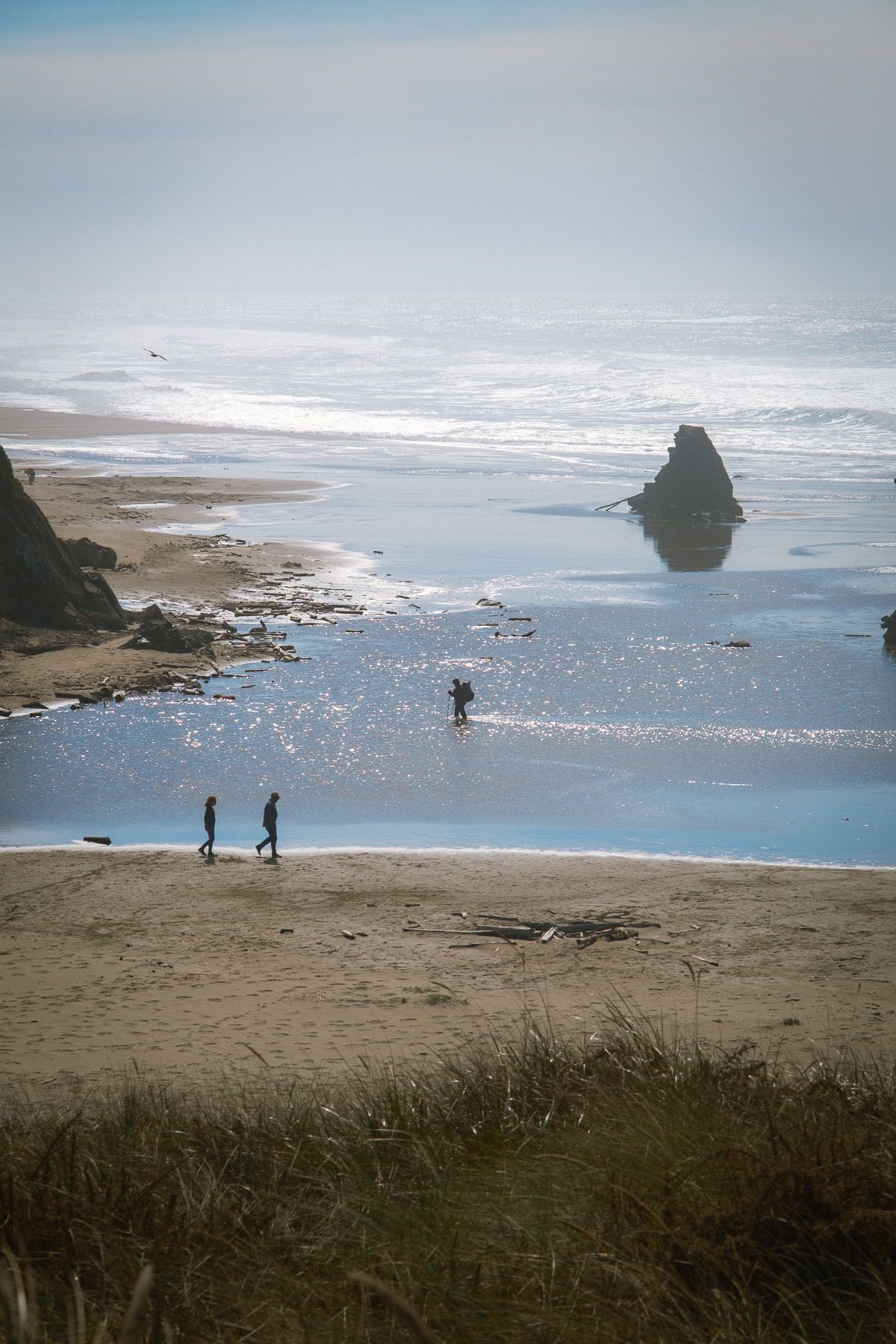 Pacific Northwest Road Trip photo titled Pacific Coast 43